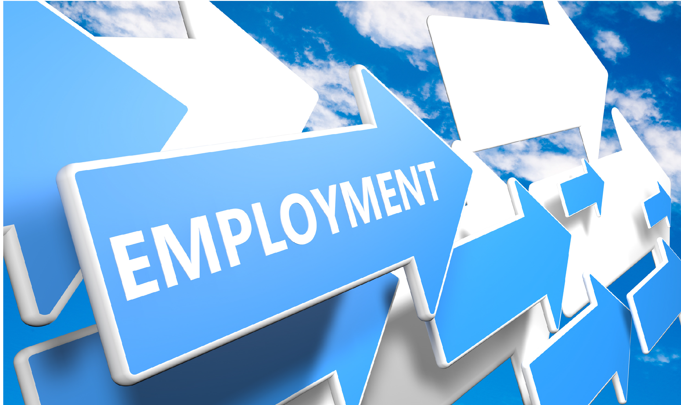 employment